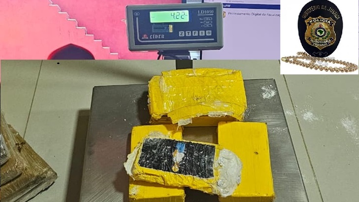 PRF_Skunk_Paletes_01.jpg